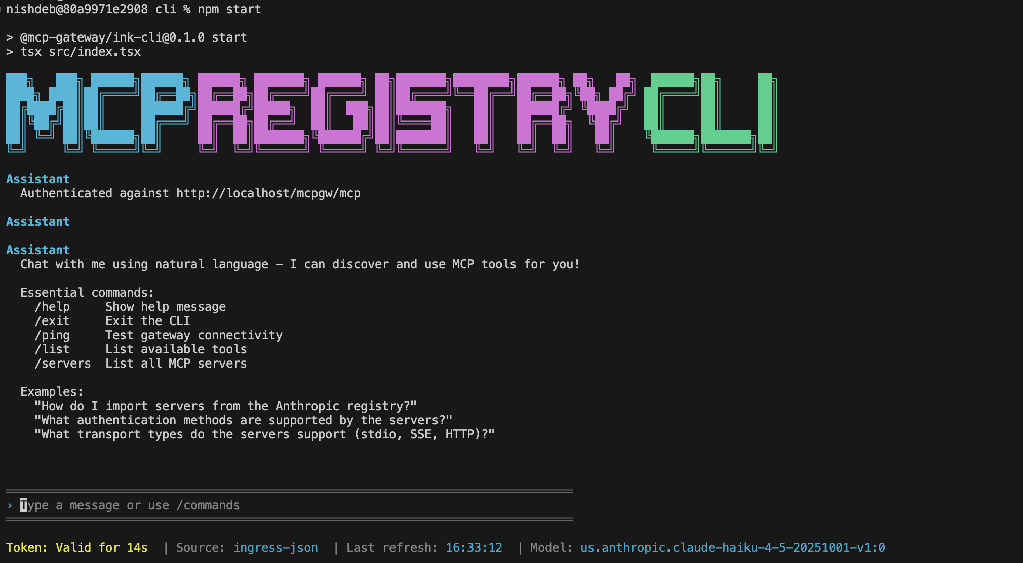 MCP Registry CLI Screenshot
